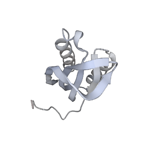 4123_5lzc_f_v1-2
Structure of SelB-Sec-tRNASec bound to the 70S ribosome in the codon reading state (CR)