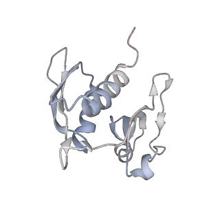 4123_5lzc_h_v1-2
Structure of SelB-Sec-tRNASec bound to the 70S ribosome in the codon reading state (CR)