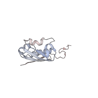 4123_5lzc_i_v1-2
Structure of SelB-Sec-tRNASec bound to the 70S ribosome in the codon reading state (CR)