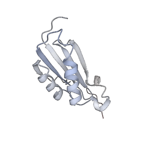 4123_5lzc_k_v1-2
Structure of SelB-Sec-tRNASec bound to the 70S ribosome in the codon reading state (CR)