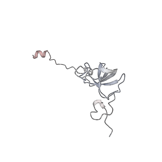 4123_5lzc_l_v1-2
Structure of SelB-Sec-tRNASec bound to the 70S ribosome in the codon reading state (CR)
