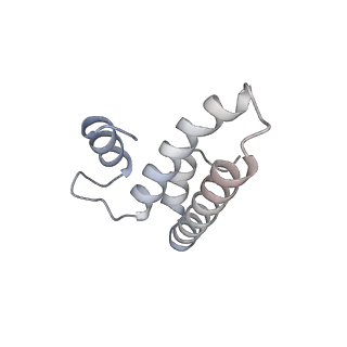 4123_5lzc_o_v1-2
Structure of SelB-Sec-tRNASec bound to the 70S ribosome in the codon reading state (CR)