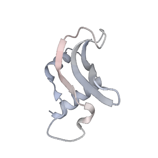4123_5lzc_p_v1-2
Structure of SelB-Sec-tRNASec bound to the 70S ribosome in the codon reading state (CR)