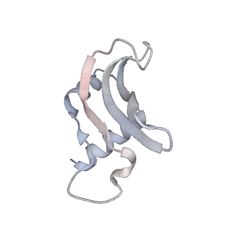 4123_5lzc_p_v2-0
Structure of SelB-Sec-tRNASec bound to the 70S ribosome in the codon reading state (CR)