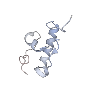 4123_5lzc_r_v1-2
Structure of SelB-Sec-tRNASec bound to the 70S ribosome in the codon reading state (CR)