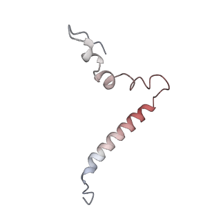 4123_5lzc_u_v1-2
Structure of SelB-Sec-tRNASec bound to the 70S ribosome in the codon reading state (CR)