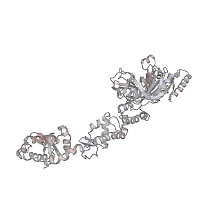 4123_5lzc_z_v1-2
Structure of SelB-Sec-tRNASec bound to the 70S ribosome in the codon reading state (CR)
