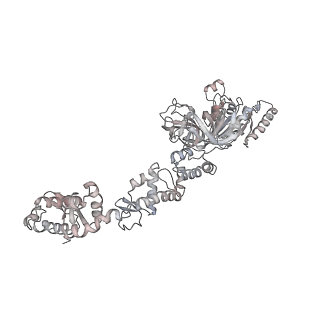 4123_5lzc_z_v2-0
Structure of SelB-Sec-tRNASec bound to the 70S ribosome in the codon reading state (CR)