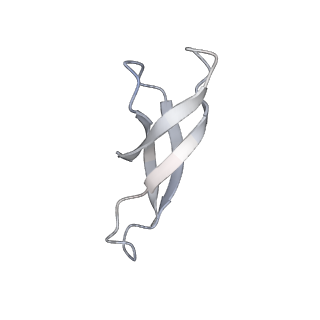 4124_5lzd_1_v2-0
Structure of SelB-Sec-tRNASec bound to the 70S ribosome in the GTPase activated state (GA)