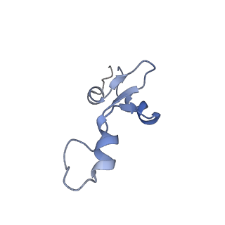 4124_5lzd_3_v1-2
Structure of SelB-Sec-tRNASec bound to the 70S ribosome in the GTPase activated state (GA)