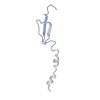 4124_5lzd_6_v1-2
Structure of SelB-Sec-tRNASec bound to the 70S ribosome in the GTPase activated state (GA)