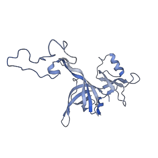4124_5lzd_D_v2-0
Structure of SelB-Sec-tRNASec bound to the 70S ribosome in the GTPase activated state (GA)