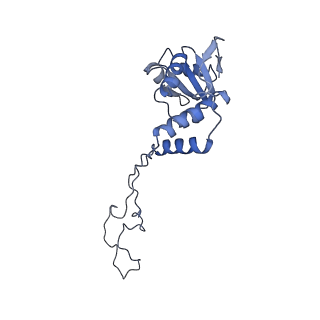 4124_5lzd_E_v1-2
Structure of SelB-Sec-tRNASec bound to the 70S ribosome in the GTPase activated state (GA)