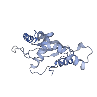 4124_5lzd_F_v1-2
Structure of SelB-Sec-tRNASec bound to the 70S ribosome in the GTPase activated state (GA)
