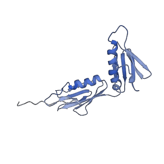 4124_5lzd_G_v1-2
Structure of SelB-Sec-tRNASec bound to the 70S ribosome in the GTPase activated state (GA)