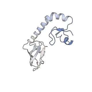 4124_5lzd_H_v1-2
Structure of SelB-Sec-tRNASec bound to the 70S ribosome in the GTPase activated state (GA)