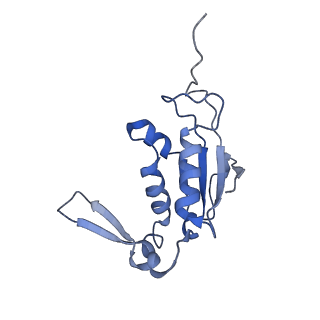 4124_5lzd_J_v1-2
Structure of SelB-Sec-tRNASec bound to the 70S ribosome in the GTPase activated state (GA)