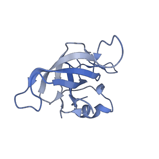 4124_5lzd_K_v1-2
Structure of SelB-Sec-tRNASec bound to the 70S ribosome in the GTPase activated state (GA)