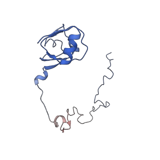 4124_5lzd_L_v1-2
Structure of SelB-Sec-tRNASec bound to the 70S ribosome in the GTPase activated state (GA)
