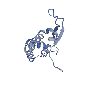 4124_5lzd_N_v1-2
Structure of SelB-Sec-tRNASec bound to the 70S ribosome in the GTPase activated state (GA)