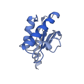 4124_5lzd_O_v1-2
Structure of SelB-Sec-tRNASec bound to the 70S ribosome in the GTPase activated state (GA)