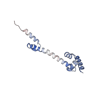 4124_5lzd_Q_v1-2
Structure of SelB-Sec-tRNASec bound to the 70S ribosome in the GTPase activated state (GA)