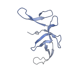 4124_5lzd_U_v1-2
Structure of SelB-Sec-tRNASec bound to the 70S ribosome in the GTPase activated state (GA)