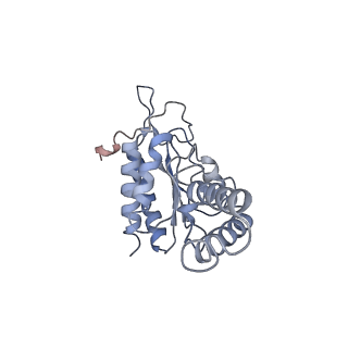4124_5lzd_b_v1-2
Structure of SelB-Sec-tRNASec bound to the 70S ribosome in the GTPase activated state (GA)