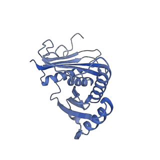 4124_5lzd_c_v1-2
Structure of SelB-Sec-tRNASec bound to the 70S ribosome in the GTPase activated state (GA)