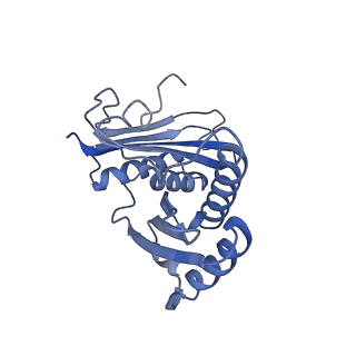 4124_5lzd_c_v2-0
Structure of SelB-Sec-tRNASec bound to the 70S ribosome in the GTPase activated state (GA)