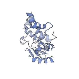4124_5lzd_d_v1-2
Structure of SelB-Sec-tRNASec bound to the 70S ribosome in the GTPase activated state (GA)