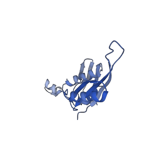 4124_5lzd_e_v1-2
Structure of SelB-Sec-tRNASec bound to the 70S ribosome in the GTPase activated state (GA)