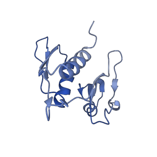 4124_5lzd_h_v1-2
Structure of SelB-Sec-tRNASec bound to the 70S ribosome in the GTPase activated state (GA)