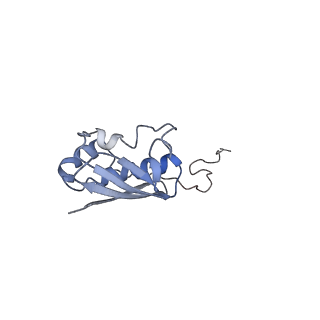4124_5lzd_i_v1-2
Structure of SelB-Sec-tRNASec bound to the 70S ribosome in the GTPase activated state (GA)