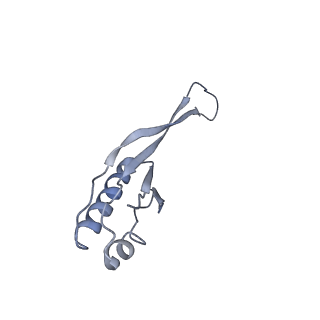 4124_5lzd_j_v1-2
Structure of SelB-Sec-tRNASec bound to the 70S ribosome in the GTPase activated state (GA)