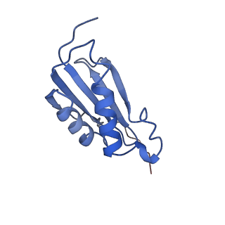 4124_5lzd_k_v1-2
Structure of SelB-Sec-tRNASec bound to the 70S ribosome in the GTPase activated state (GA)