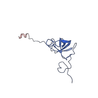 4124_5lzd_l_v1-2
Structure of SelB-Sec-tRNASec bound to the 70S ribosome in the GTPase activated state (GA)