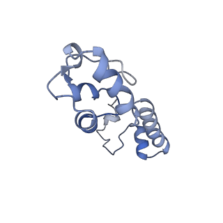 4124_5lzd_m_v1-2
Structure of SelB-Sec-tRNASec bound to the 70S ribosome in the GTPase activated state (GA)