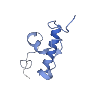 4124_5lzd_r_v1-2
Structure of SelB-Sec-tRNASec bound to the 70S ribosome in the GTPase activated state (GA)