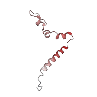 4124_5lzd_u_v1-2
Structure of SelB-Sec-tRNASec bound to the 70S ribosome in the GTPase activated state (GA)