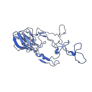 4125_5lze_C_v1-3
Structure of the 70S ribosome with Sec-tRNASec in the classical pre-translocation state (C)