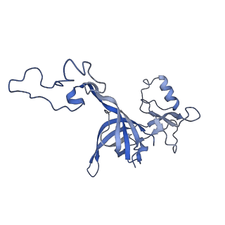 4125_5lze_D_v1-3
Structure of the 70S ribosome with Sec-tRNASec in the classical pre-translocation state (C)