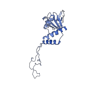4125_5lze_E_v1-3
Structure of the 70S ribosome with Sec-tRNASec in the classical pre-translocation state (C)