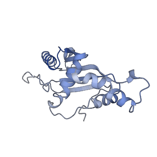 4125_5lze_F_v1-3
Structure of the 70S ribosome with Sec-tRNASec in the classical pre-translocation state (C)