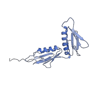 4125_5lze_G_v1-3
Structure of the 70S ribosome with Sec-tRNASec in the classical pre-translocation state (C)