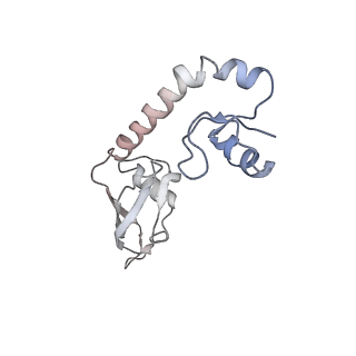 4125_5lze_H_v1-3
Structure of the 70S ribosome with Sec-tRNASec in the classical pre-translocation state (C)