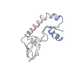 4125_5lze_H_v2-1
Structure of the 70S ribosome with Sec-tRNASec in the classical pre-translocation state (C)