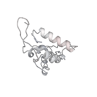 4125_5lze_I_v1-3
Structure of the 70S ribosome with Sec-tRNASec in the classical pre-translocation state (C)