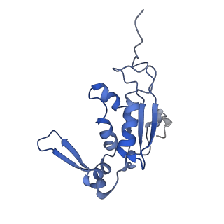 4125_5lze_J_v1-3
Structure of the 70S ribosome with Sec-tRNASec in the classical pre-translocation state (C)