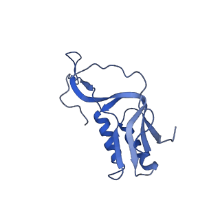 4125_5lze_M_v1-3
Structure of the 70S ribosome with Sec-tRNASec in the classical pre-translocation state (C)